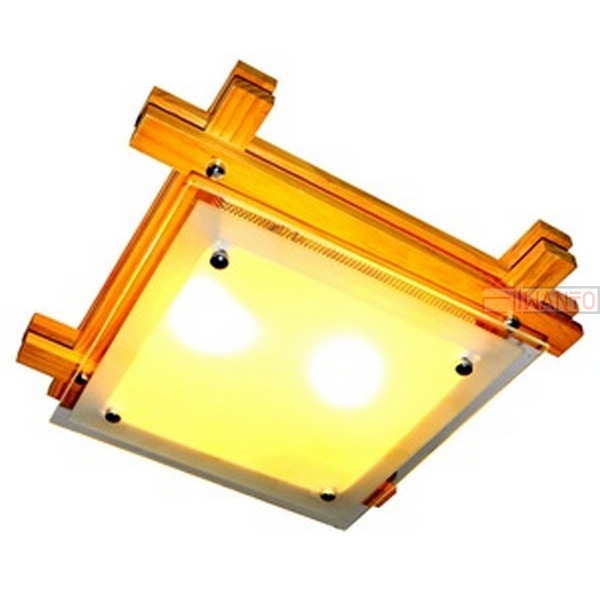 Потолочный светильник Elvan  C8002-2RG