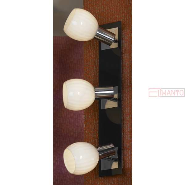 Настенный светильник Lussole Senigallia LSX-5501-03