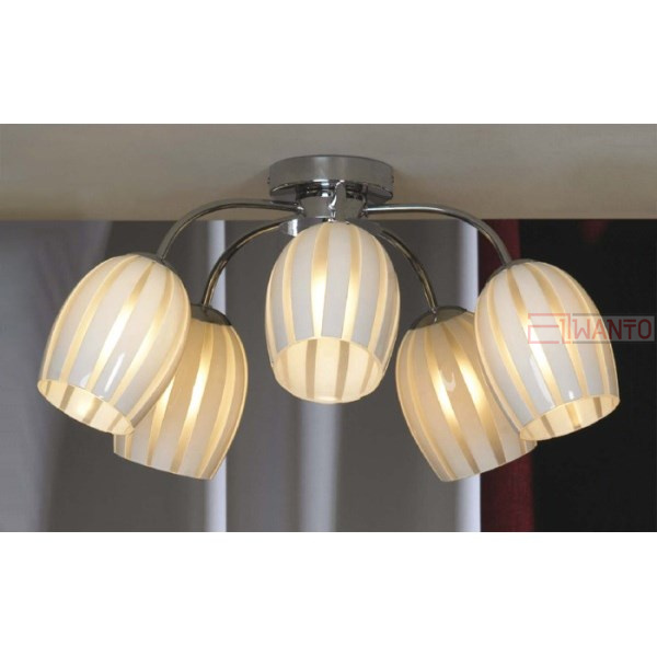 Потолочная люстра Lussole Brindisi LSF-6703-05
