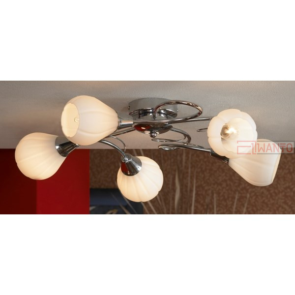 Потолочная люстра Lussole Abriola LSC-8303-05
