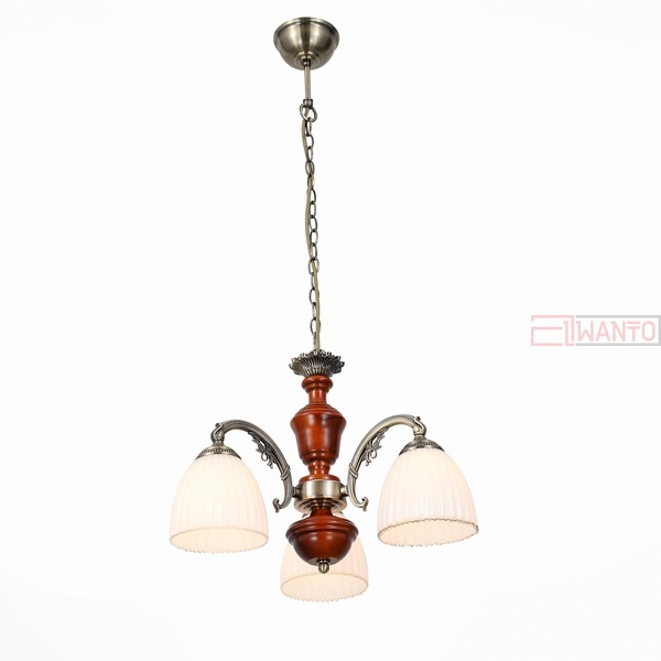Подвесная люстра ST Luce Fiore 2 SL151.303.03