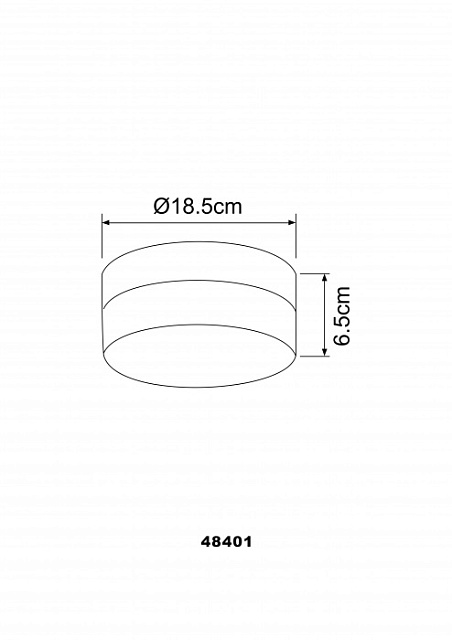 Потолочный светильник Opal 48401