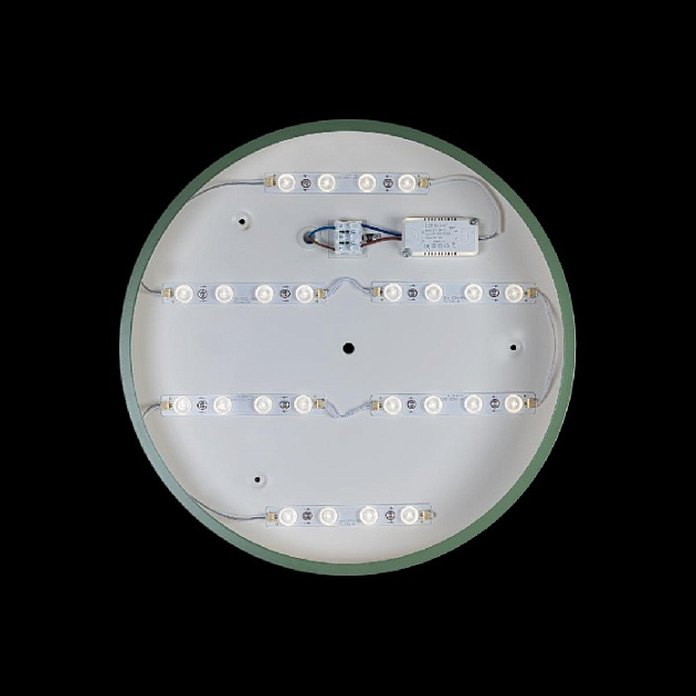 Потолочный светильник Axel 10002/24 Green