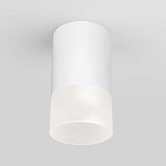 Потолочный светильник уличный Light LED 35139/H белый