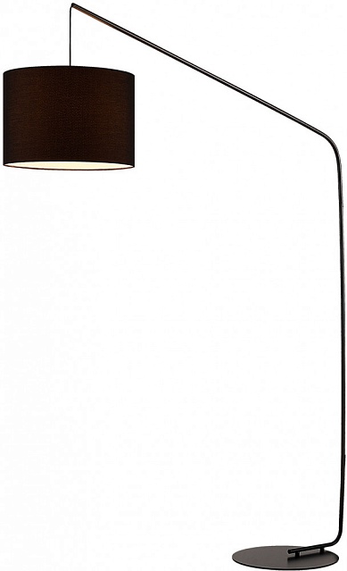 Торшер Weston LSP-0608