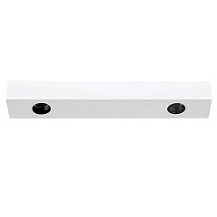 Потолочный светильник DL18629 DL18629/2Kit W Dim