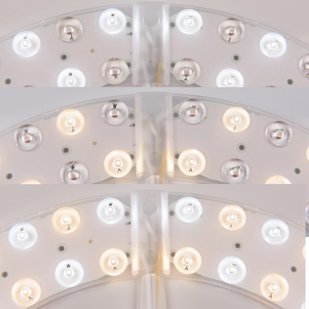 Потолочная люстра 1932 19321/55IV/LED-DIM G