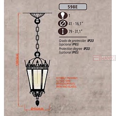 Уличный светильник подвесной 598E 598E/1 0 CRYSTAL CLEAR / PROTECTION IP65