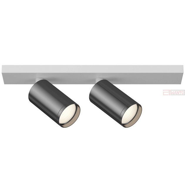 Точечный светильник Maytoni Focus S C051CL-2WGF