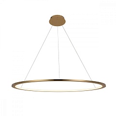 Подвесной светильник Ring 10014L
