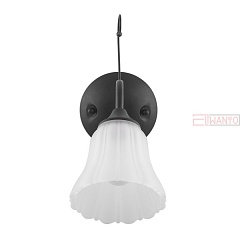 Бра IDLamp 872 872/1A-Argentoscuro