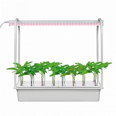 Настольная лампа для растений  ULT-P44D-10W/SPLE IP20 AQUA SIMPLE WHITE