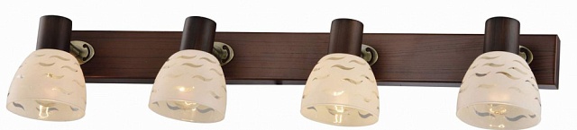 Спот Shayla TL3730Y-04BB