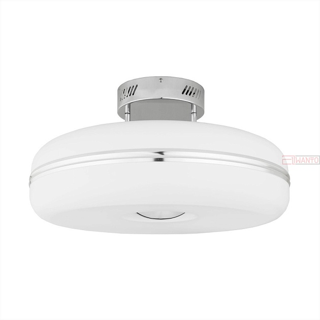 Потолочная люстра Citilux Torus CL250001