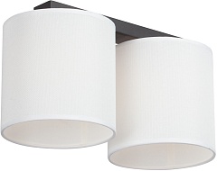 Потолочный светильник V2882-1/2PL