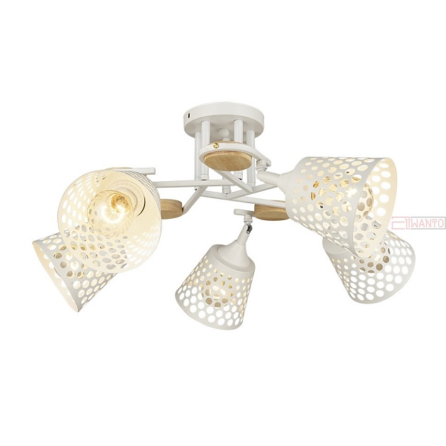 Потолочная люстра Odetta 66583.01.09.05