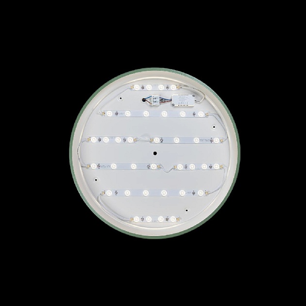 Потолочный светильник Axel 10001/36 Green