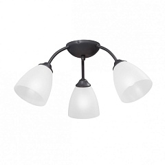 Потолочная люстра  V3737-2/3PL