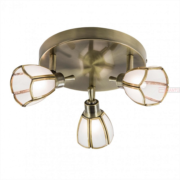 Спот Citilux Alten CL522531