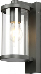 Настенный фонарь уличный Lukturis 3038-1W