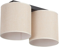 Потолочный светильник V2881-1/2PL