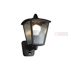 Настенный фонарь уличный Colosso 1818-1W
