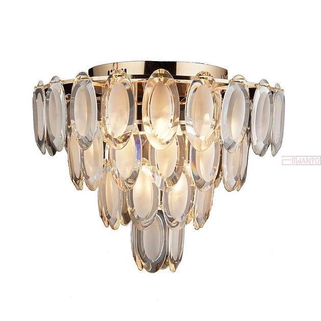 Потолочная люстра Erika 70647.01.01.09