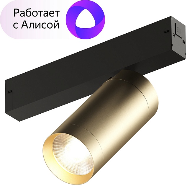 Трековый светильник SMART SPOT DK8020-BG