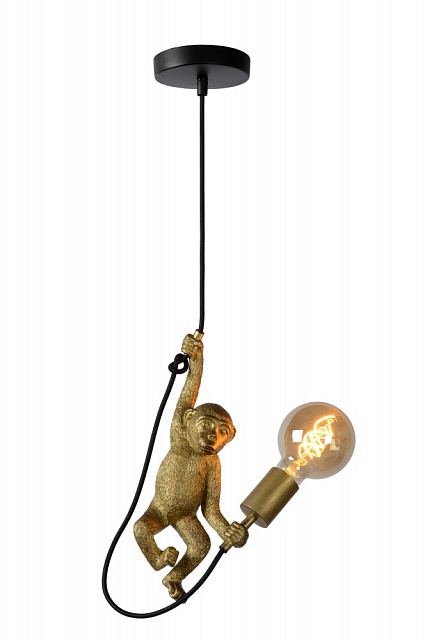 Подвесной светильник Extravaganza Chimp 10402/01/30