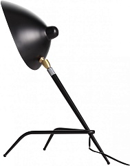 Интерьерная настольная лампа Spruzzo SL305.404.01