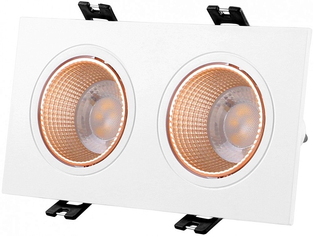 Точечный светильник DK3020WBR DK3072-WBR