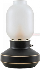 Интерьерная настольная лампа Anchorage LSP-0568