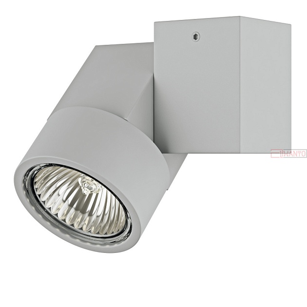 Точечный светильник Lightstar Illumo X1 51020